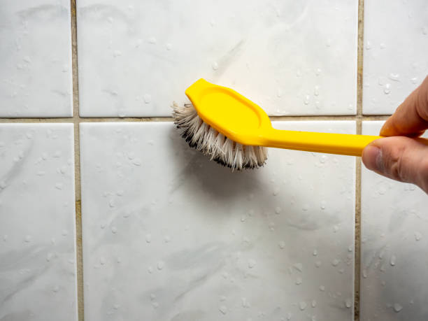  Sheridan, IL Mold Removal Pros