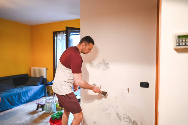 Professional Mold Remediation in Sheridan, IL
